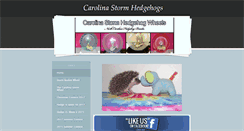 Desktop Screenshot of carolinastormhedgehogs.com